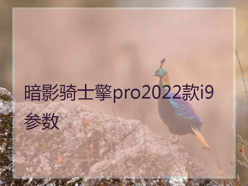 暗影骑士擎pro2022款i9参数