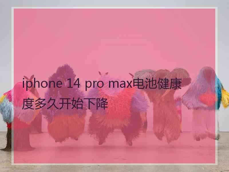 iphone 14 pro max电池健康度多久开始下降