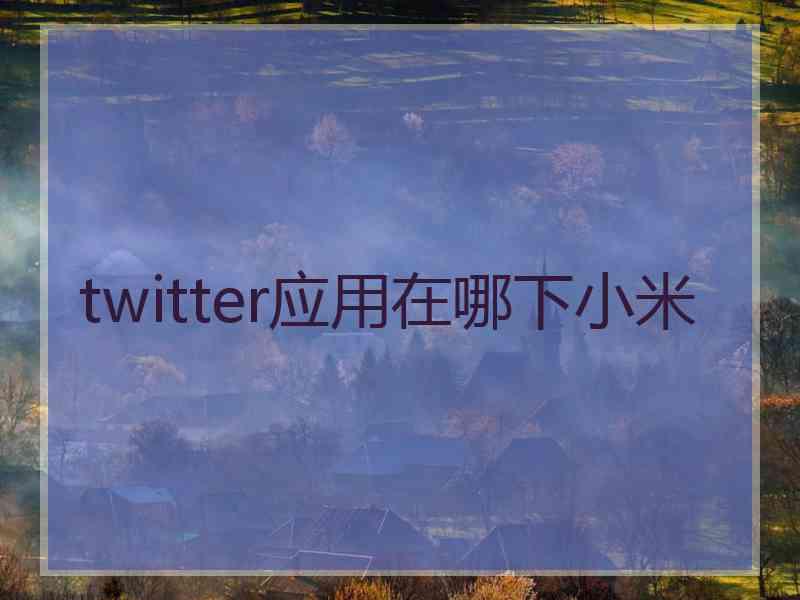 twitter应用在哪下小米