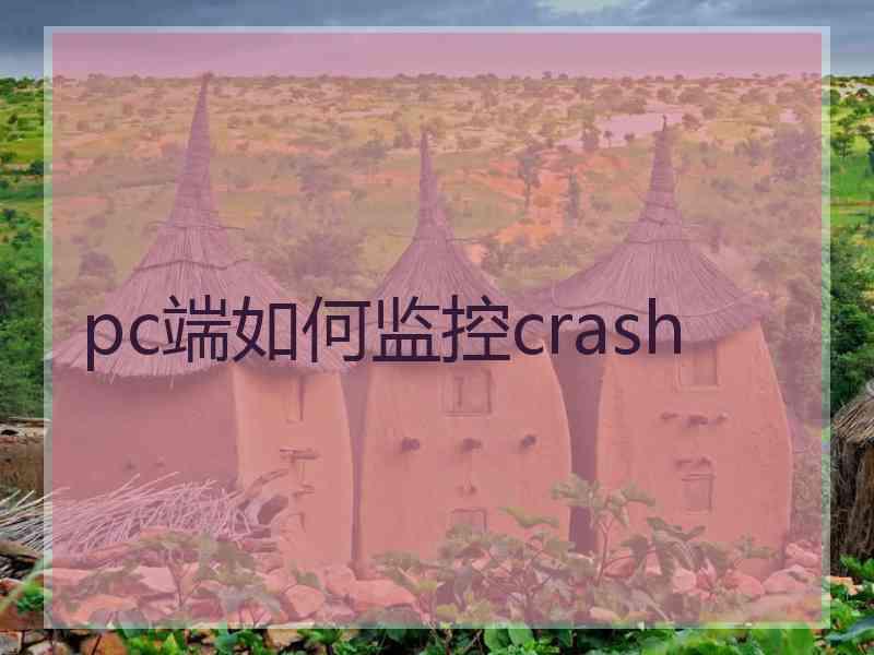 pc端如何监控crash