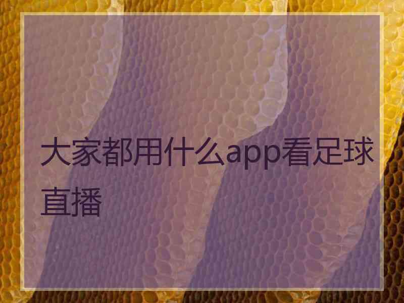 大家都用什么app看足球直播