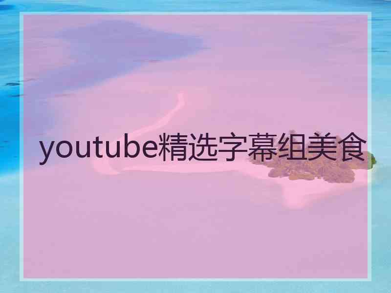 youtube精选字幕组美食