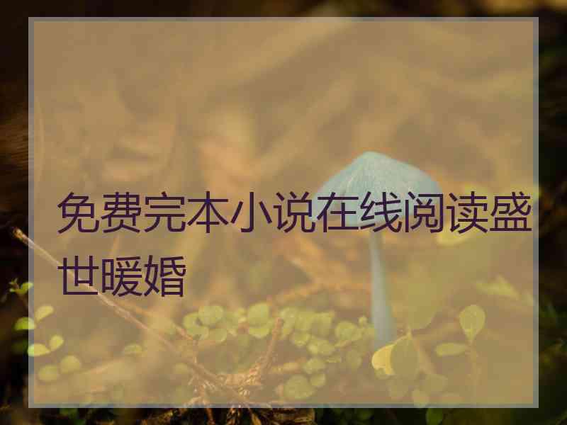 免费完本小说在线阅读盛世暖婚