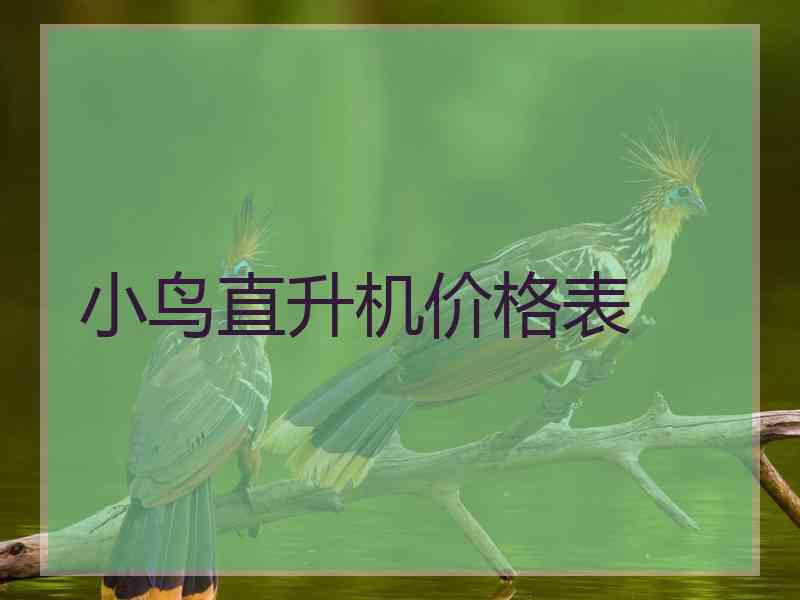 小鸟直升机价格表