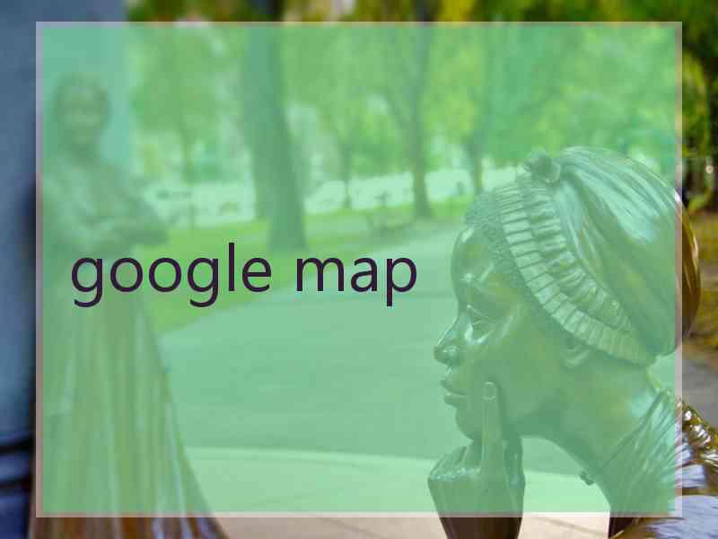 google map