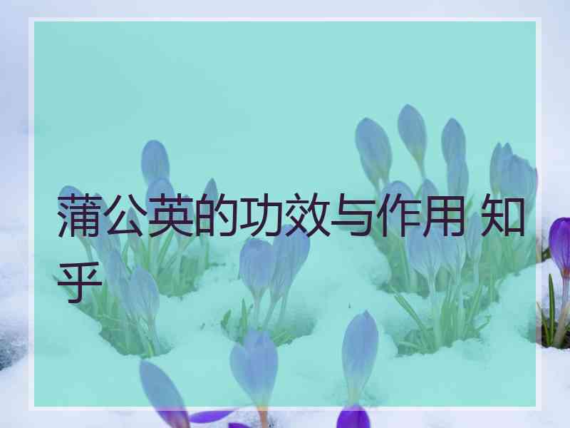 蒲公英的功效与作用 知乎