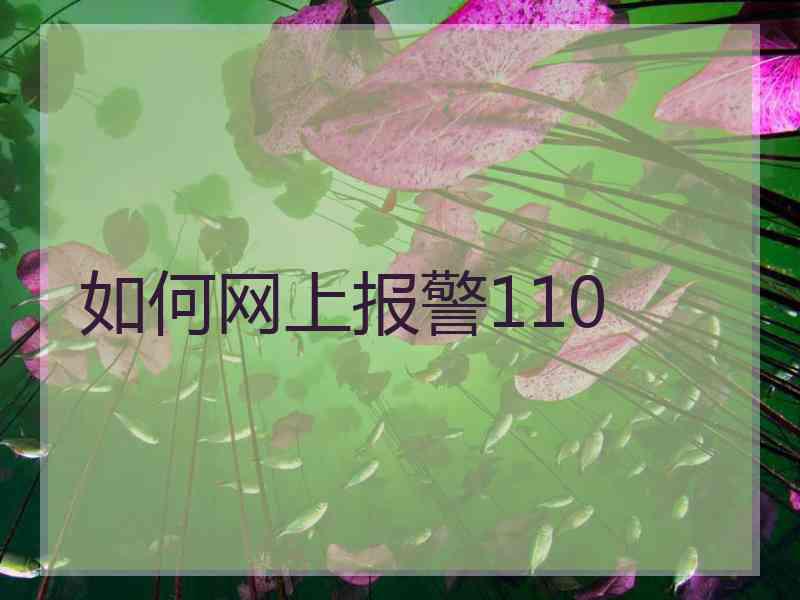 如何网上报警110