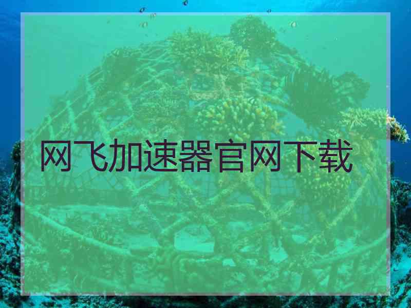 网飞加速器官网下载