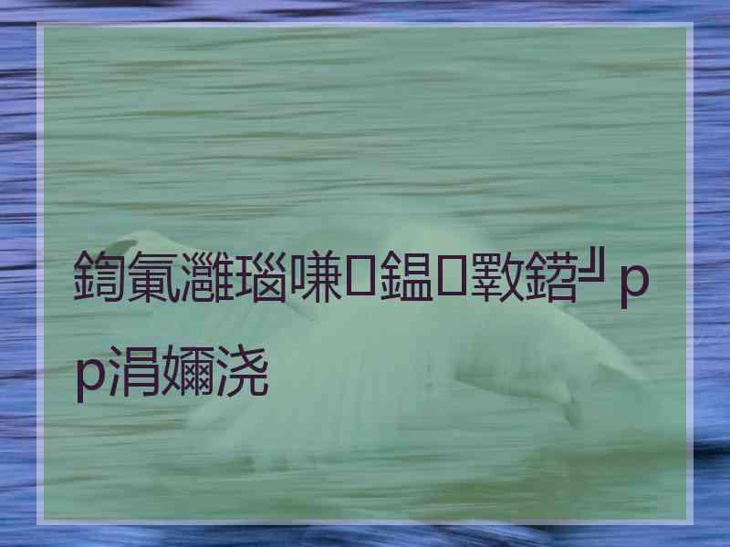 鍧氭灉瑙嗛鎾斁鍣╝pp涓嬭浇