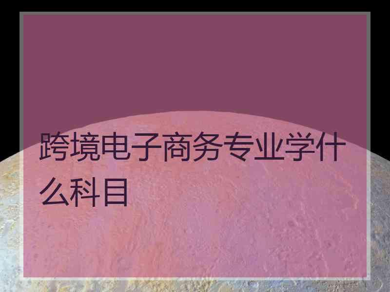 跨境电子商务专业学什么科目