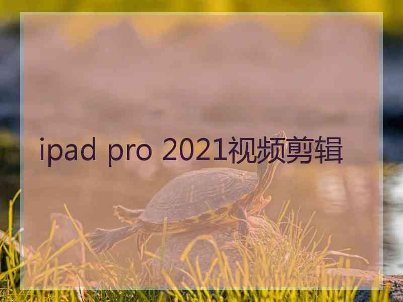 ipad pro 2021视频剪辑