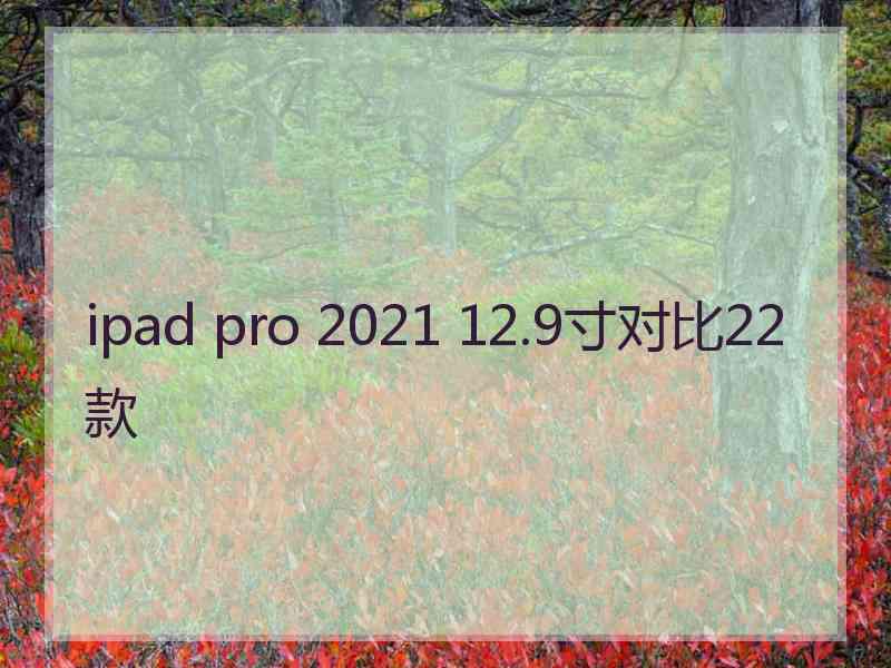 ipad pro 2021 12.9寸对比22款