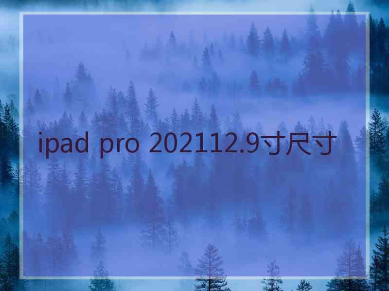 ipad pro 202112.9寸尺寸