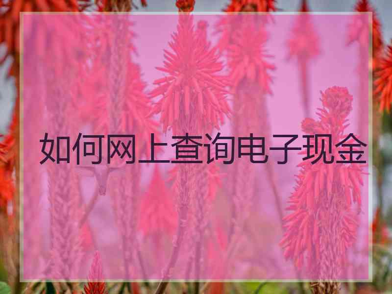 如何网上查询电子现金