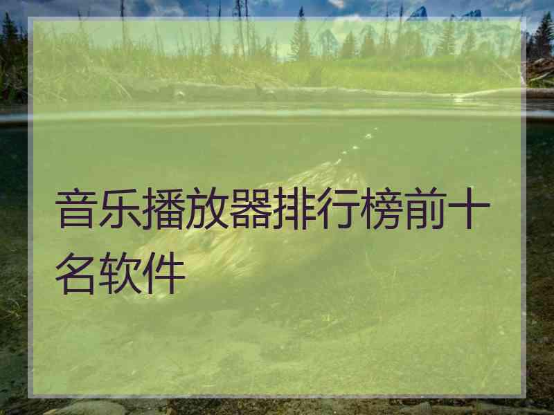 音乐播放器排行榜前十名软件