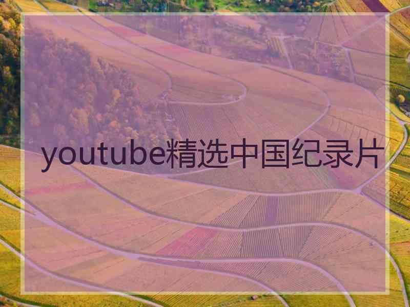 youtube精选中国纪录片