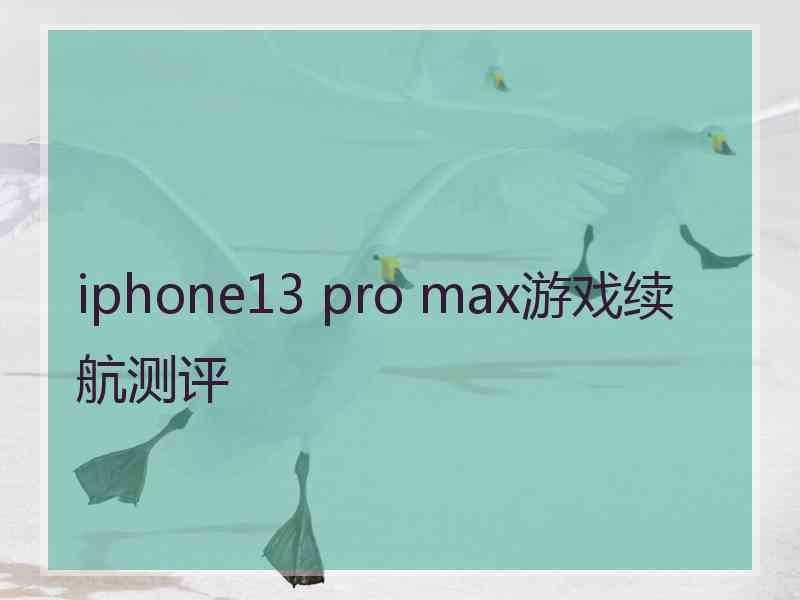 iphone13 pro max游戏续航测评
