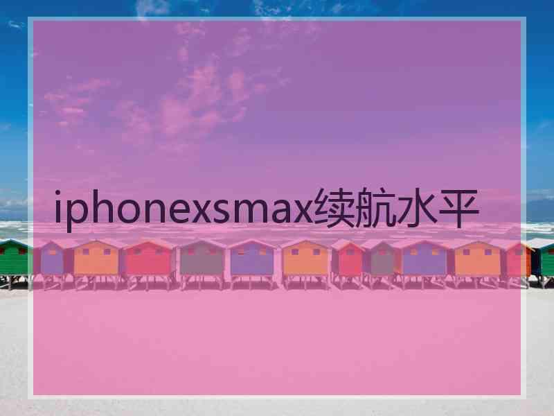 iphonexsmax续航水平