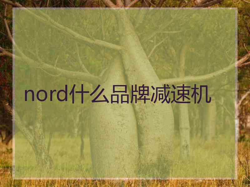 nord什么品牌减速机