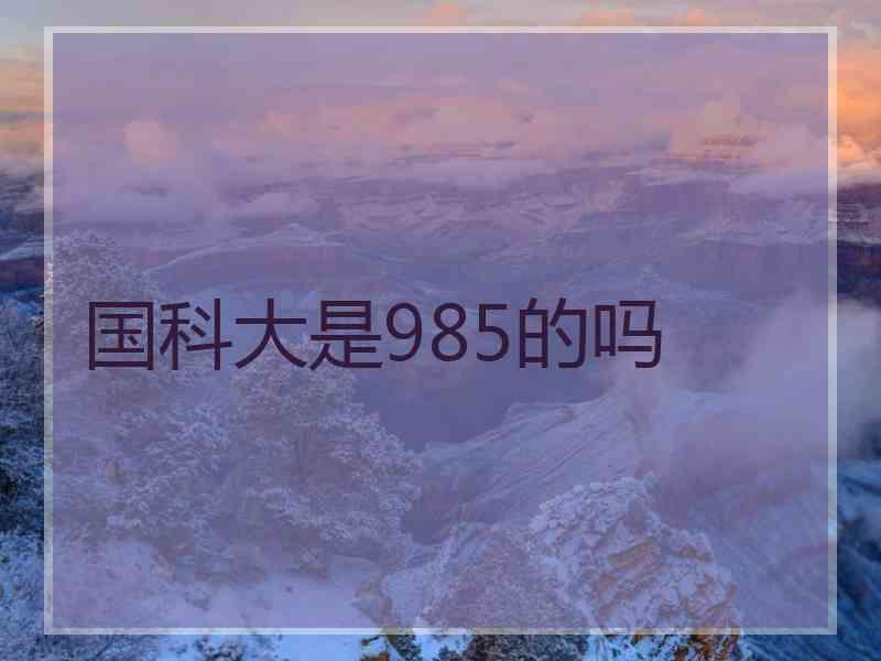 国科大是985的吗