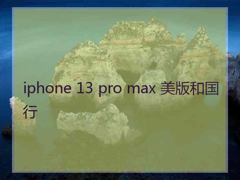 iphone 13 pro max 美版和国行