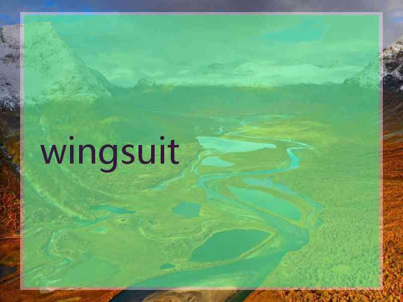 wingsuit