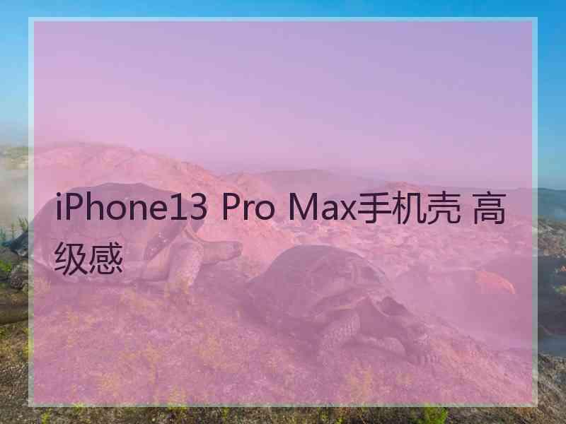 iPhone13 Pro Max手机壳 高级感