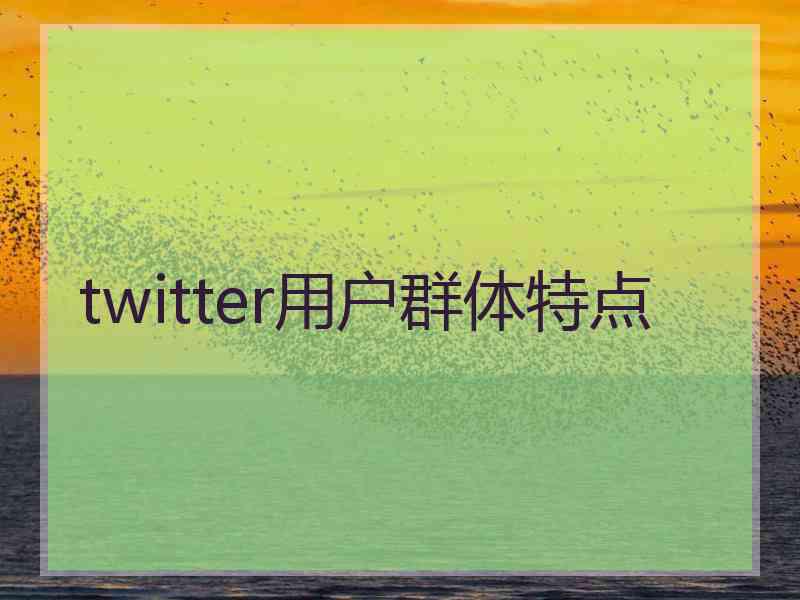 twitter用户群体特点