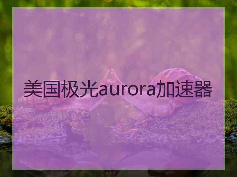 美国极光aurora加速器