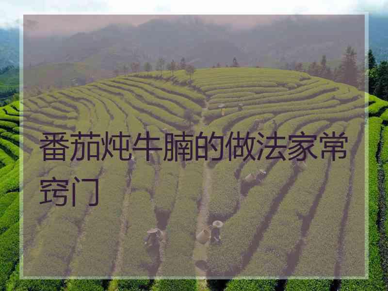 番茄炖牛腩的做法家常窍门