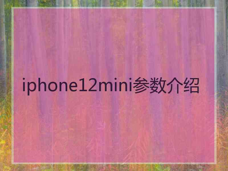 iphone12mini参数介绍