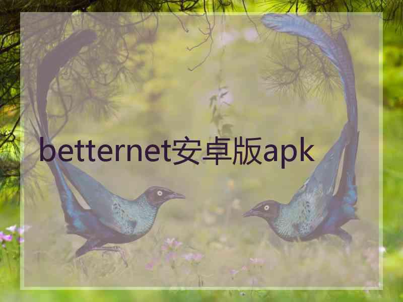 betternet安卓版apk