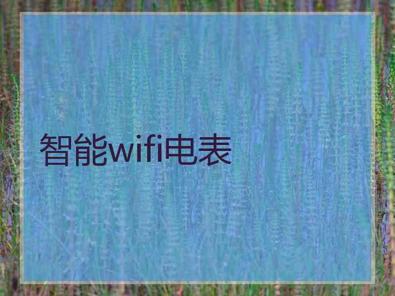 智能wifi电表