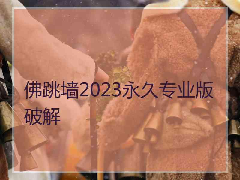 佛跳墙2023永久专业版破解