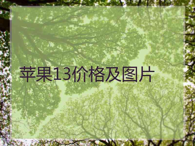 苹果13价格及图片