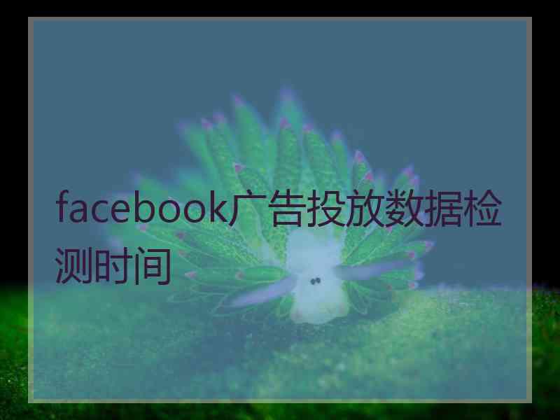 facebook广告投放数据检测时间