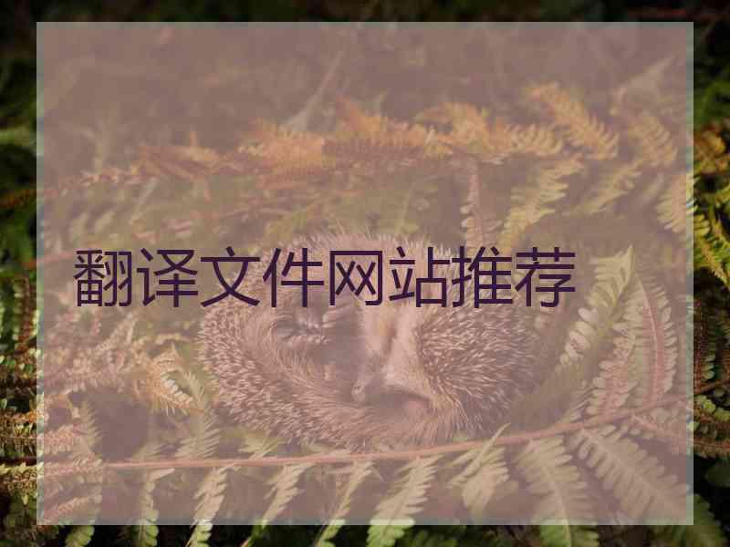 翻译文件网站推荐