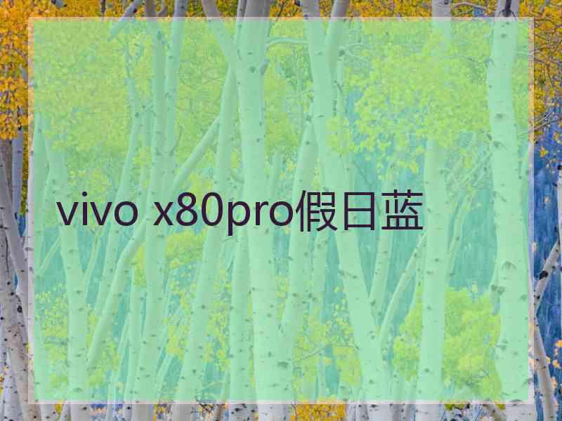 vivo x80pro假日蓝