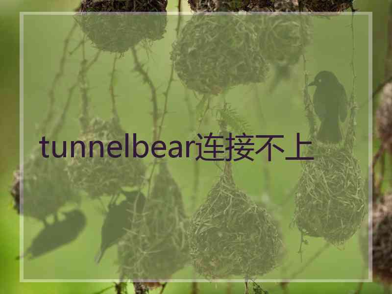 tunnelbear连接不上