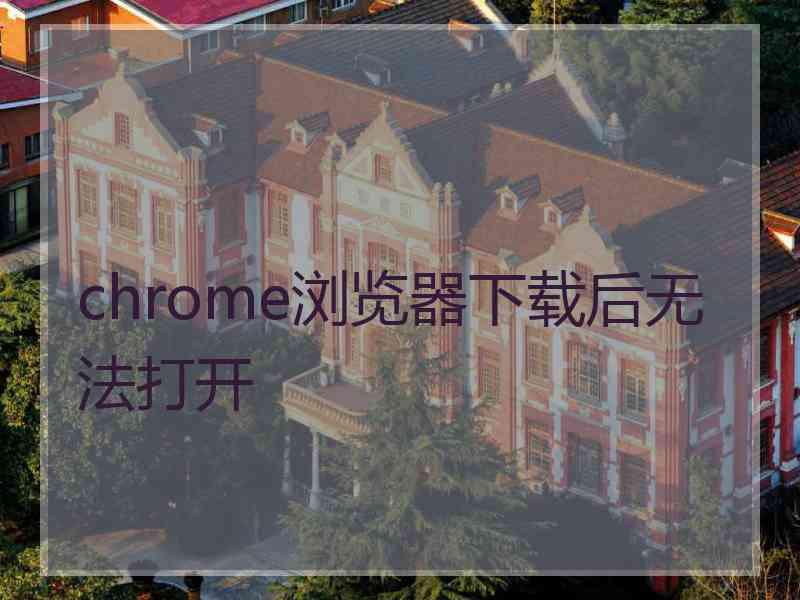 chrome浏览器下载后无法打开