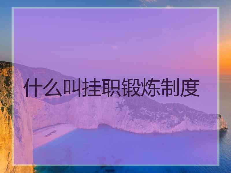 什么叫挂职锻炼制度