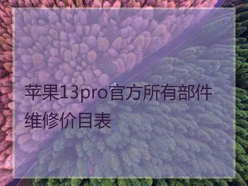 苹果13pro官方所有部件维修价目表