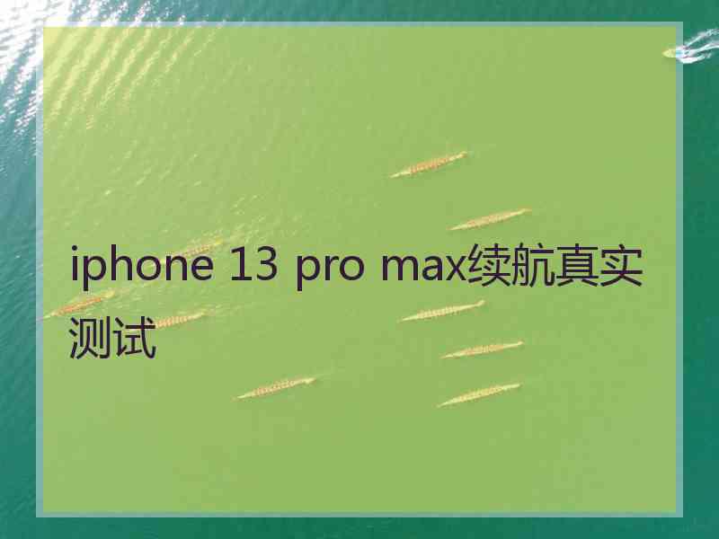 iphone 13 pro max续航真实测试