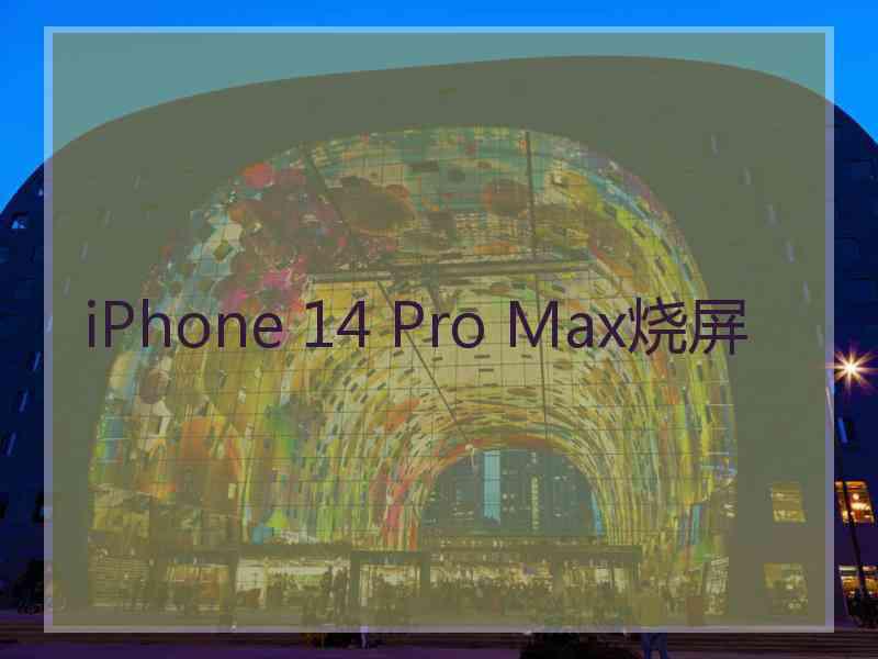 iPhone 14 Pro Max烧屏