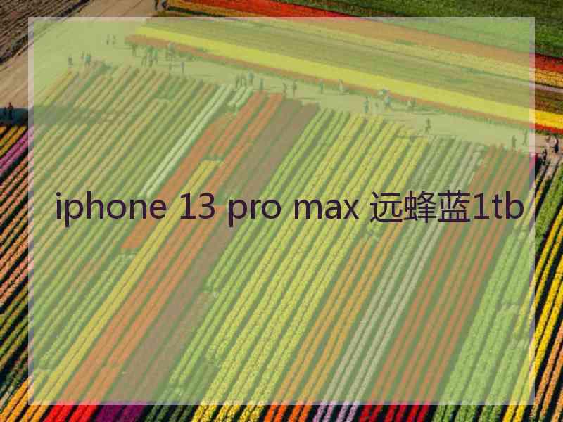 iphone 13 pro max 远蜂蓝1tb