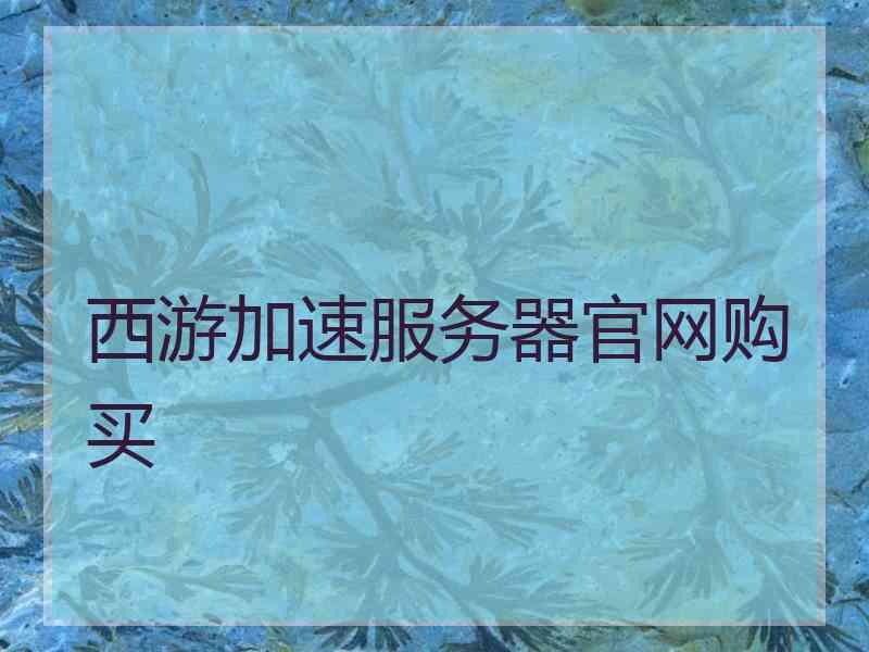 西游加速服务器官网购买