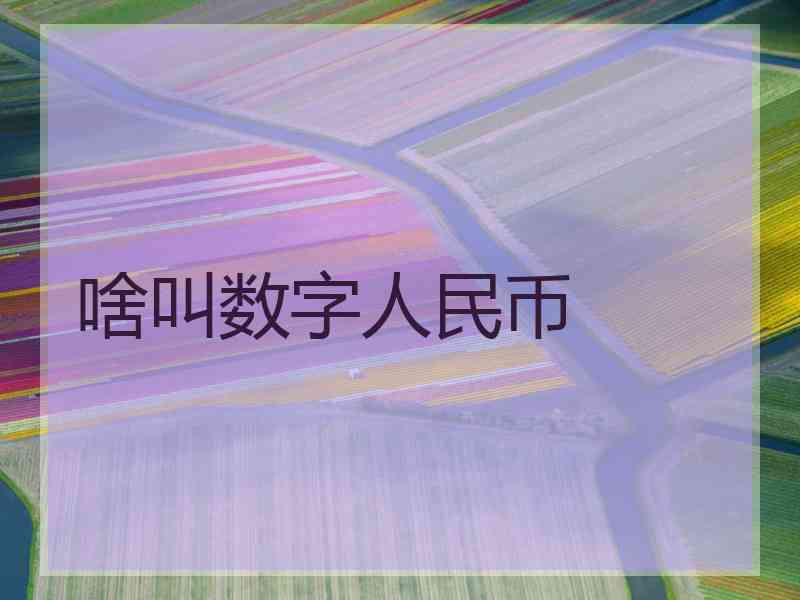 啥叫数字人民币