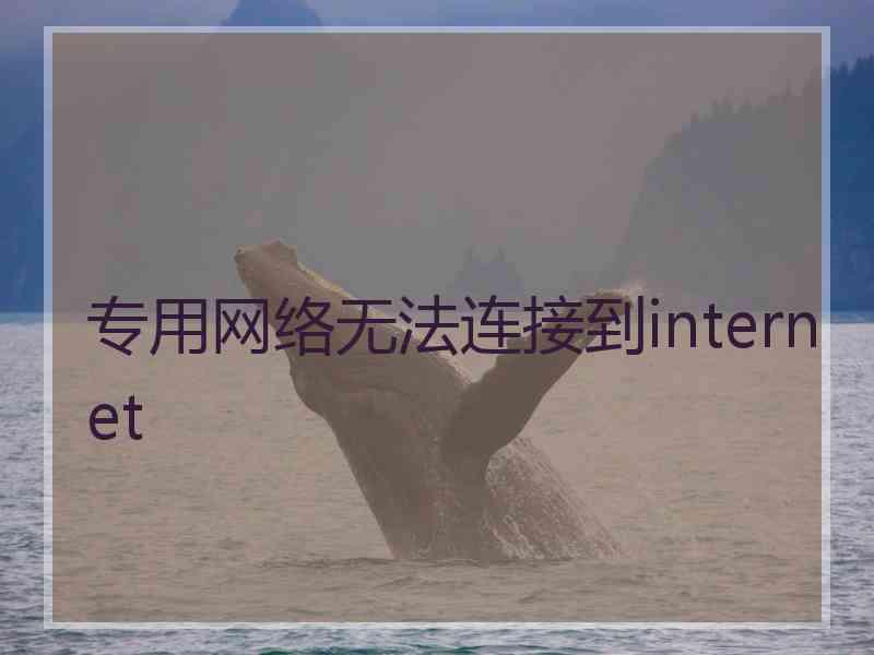 专用网络无法连接到internet