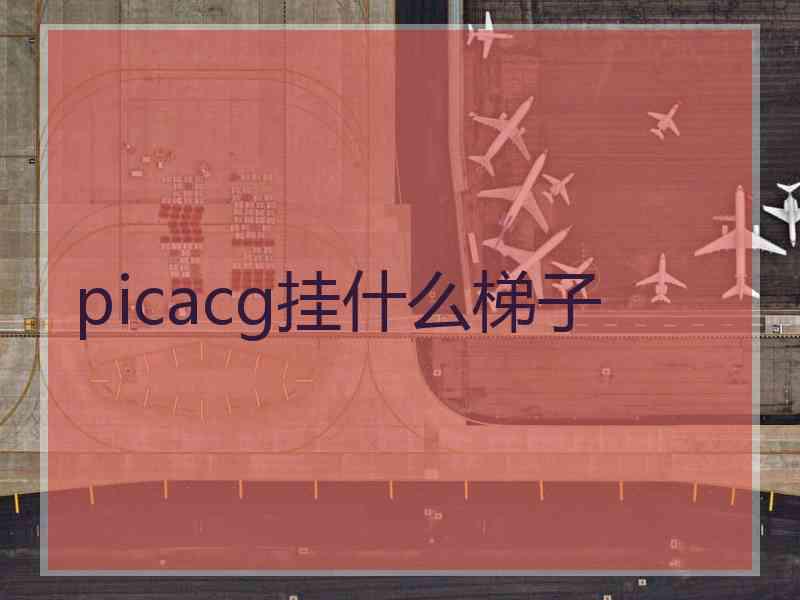 picacg挂什么梯子