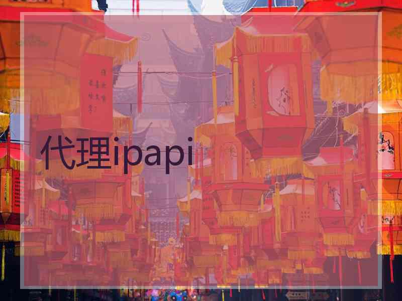 代理ipapi